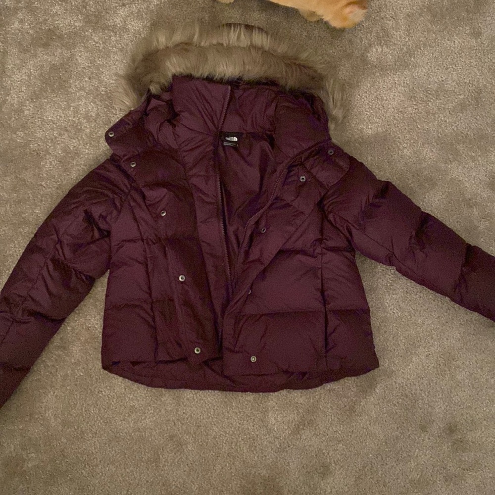 Brand new North Face cropped purple coat